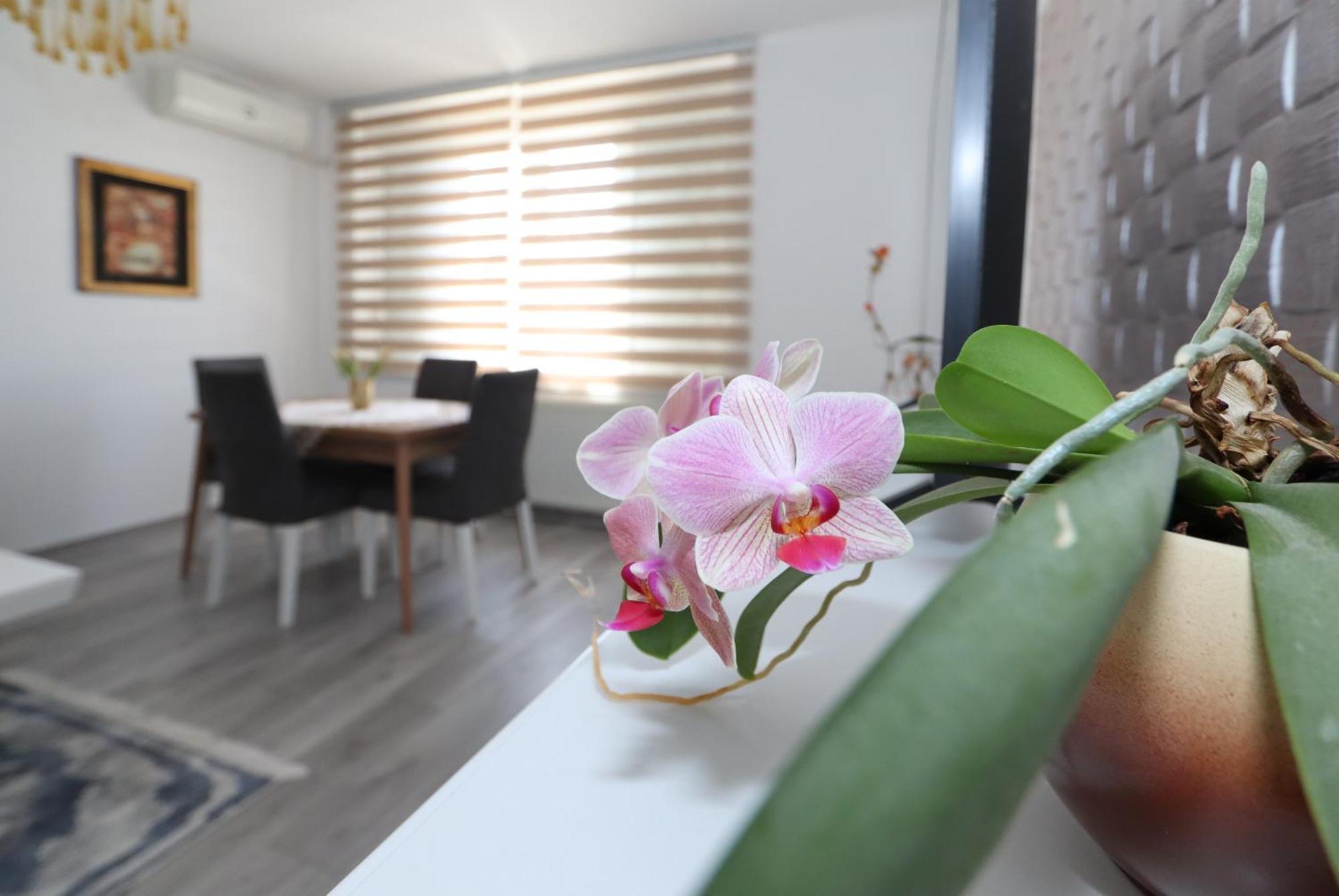 Apartamento Golden Royal Kragujevac Exterior foto